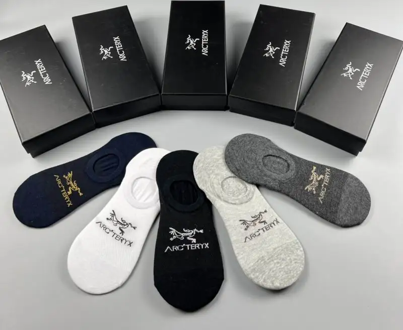 Arcteryx socks 042005